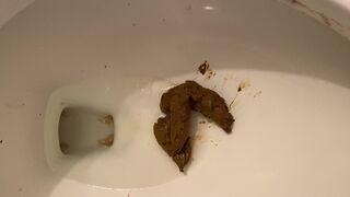 ScatKings.com Scat Porn