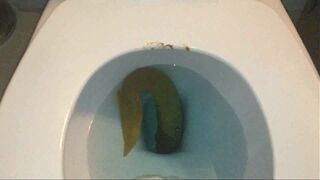 ScatKings.com Scat Porn