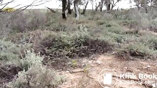 dehors, ScatKings.com Scat Porn 14 ScatKings.com Scat Porn